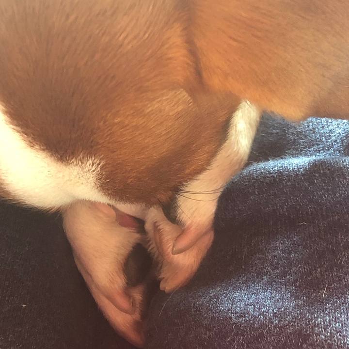 48558d24 70a6 43a0 adbc 2a3a5c2ac3ba 1558615828015