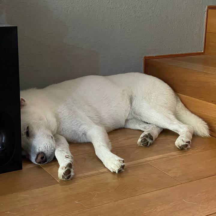 485591f1 35cf 4886 8186 4309ee990a61 1658710424186