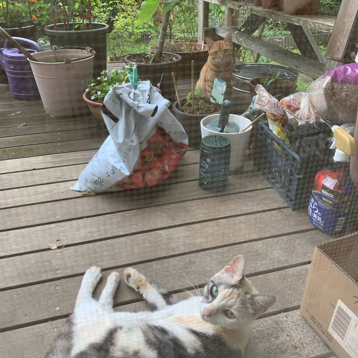 48559728 b24c 45cb 8e22 d4430ce98044 1687911812522