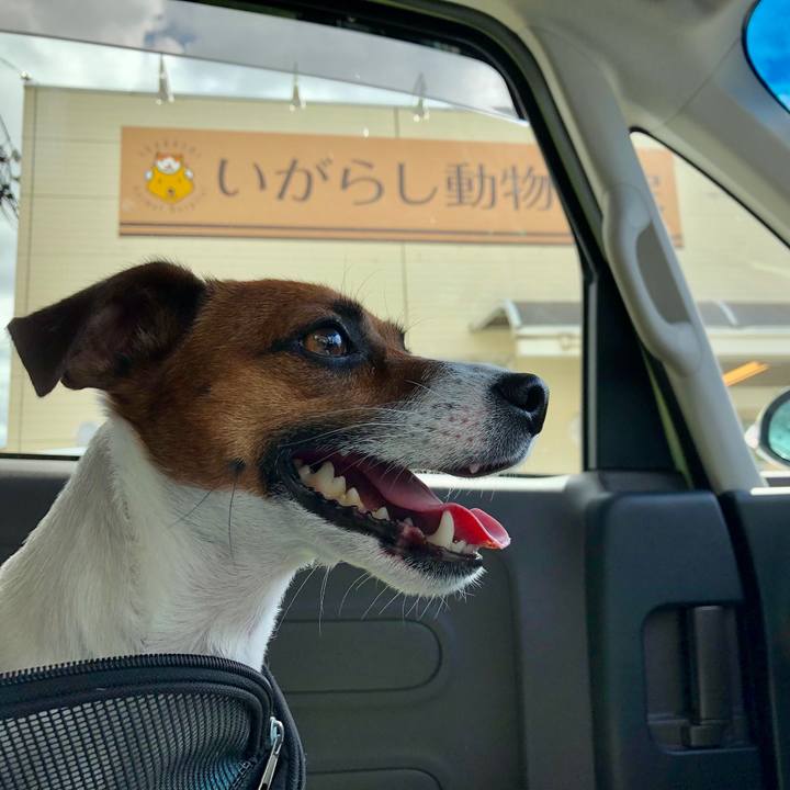 48559d72 a1fb 49df b0f6 ea0f84912fbd 1599528518778