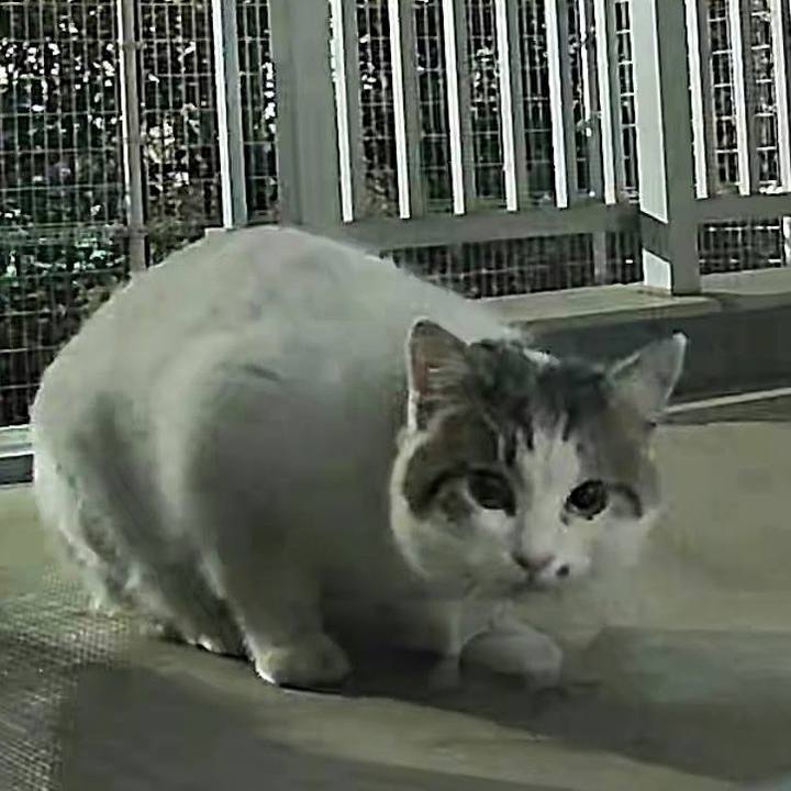 4855b09f f188 448a ada8 9b71d503edc6 1739326075918