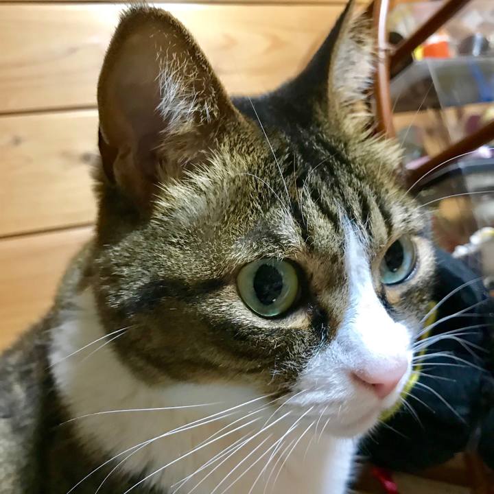 4855bfcd 0e99 40b0 9d10 cc01f93f93ee 1523712954316