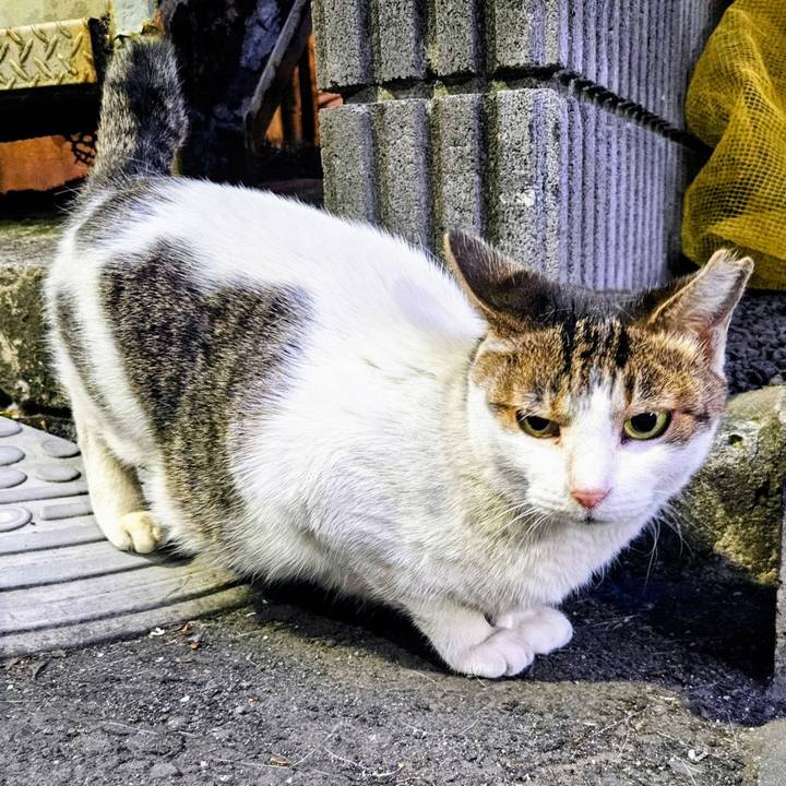 4855d313 1d51 4652 b375 e481724f7bb7 1745237930103