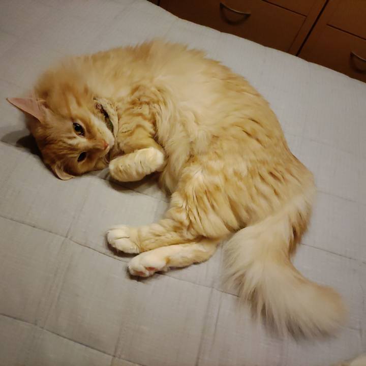 48562c91 b774 456c 8399 1ff1f001183b 1661350270516