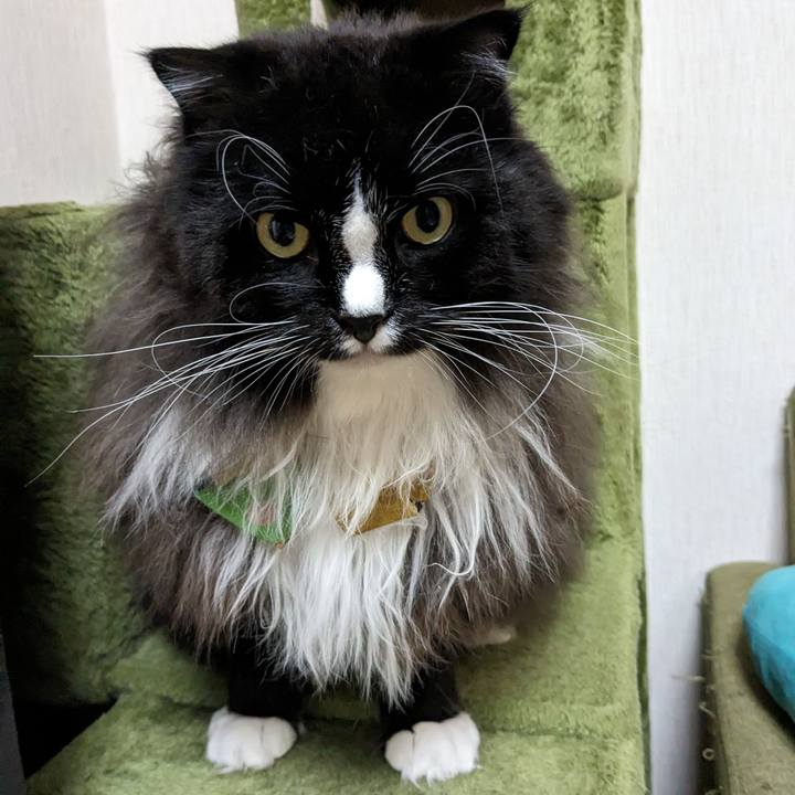 48564dc5 e45a 47d9 ba78 f4bd87e1c43b 1696980269497