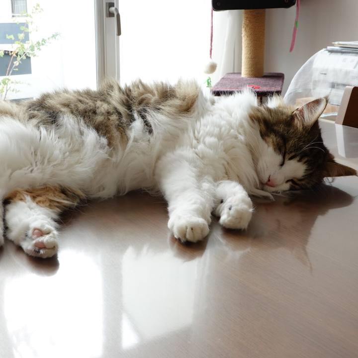 485660c2 a284 471f a2fa 53b0e7c6f4bf 1593062424696