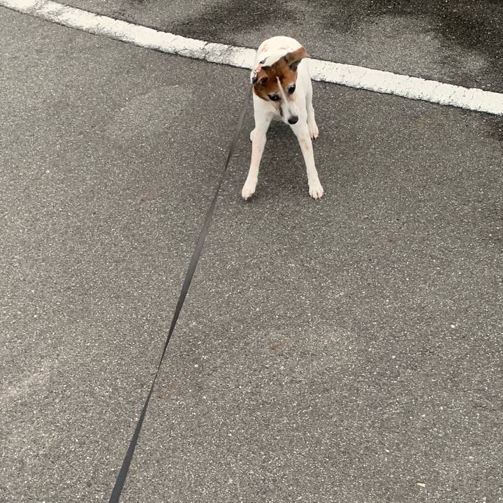 48566909 b143 454f 994e a0142ad912fe 1559476985241