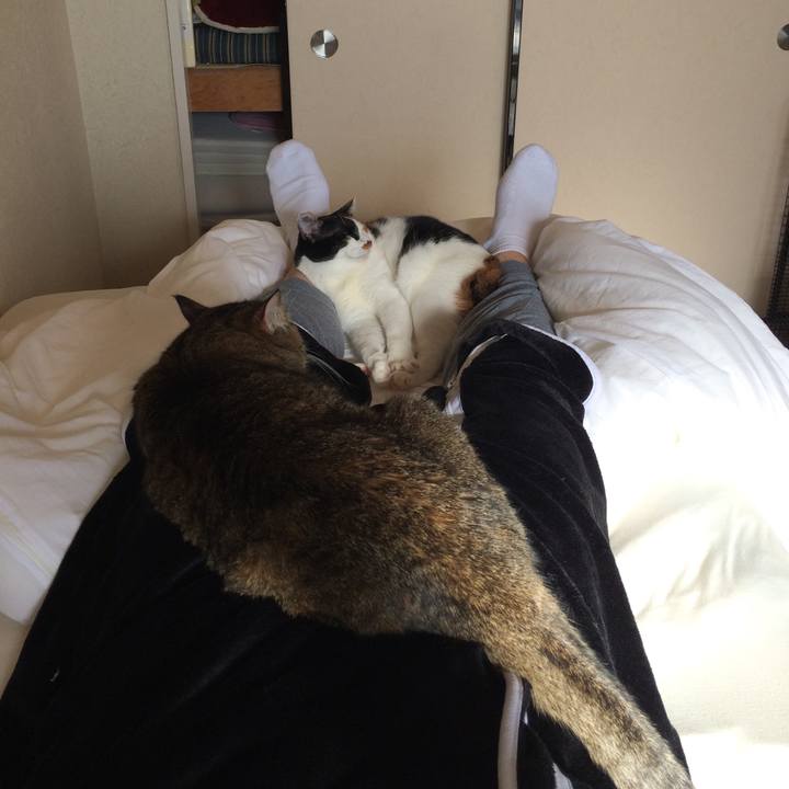 4856dec3 eb37 4d99 82fa 464470609fa9 1577617555201