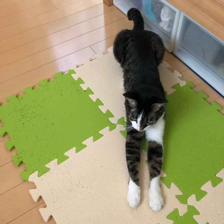 485727c8 163e 4c6f a467 a9e531b80a7d 1559305442471