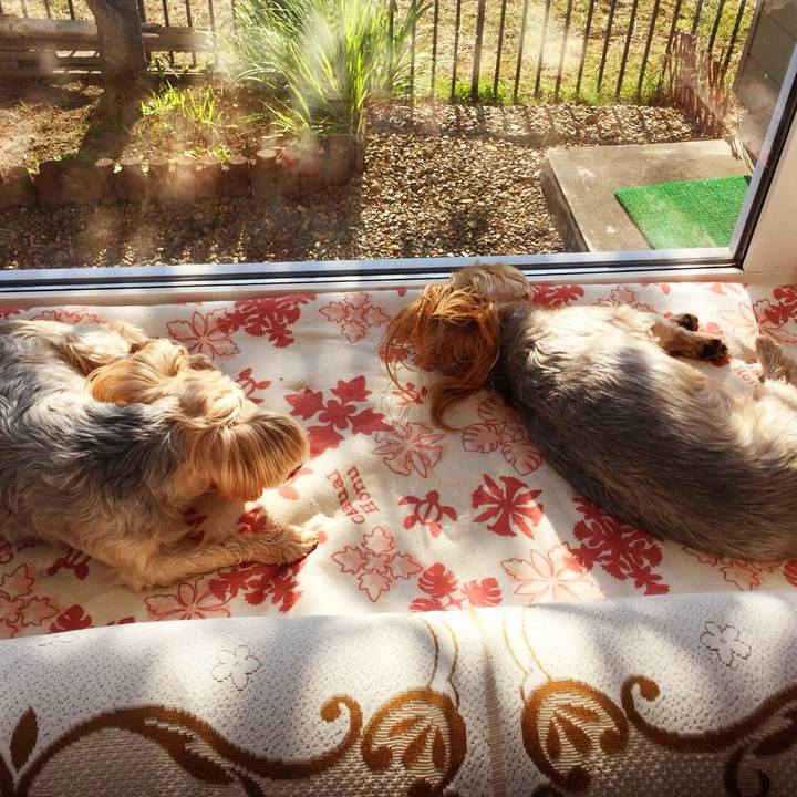 485732fa 5b76 42c0 b20a ce314873e121 1536705378517