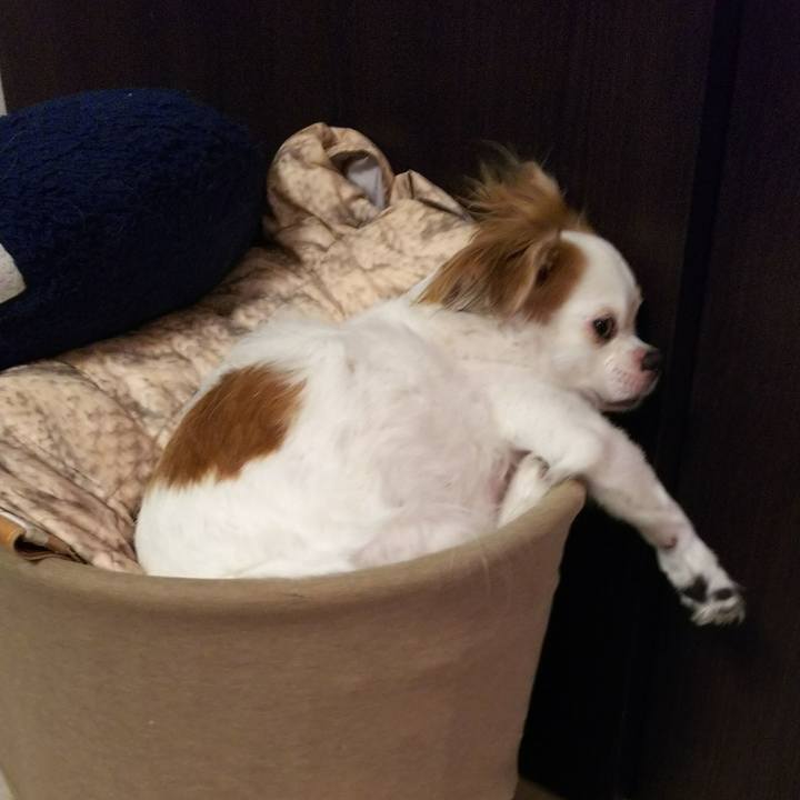 48576af8 8f02 436b b72d 682b6195d686 1516980237884