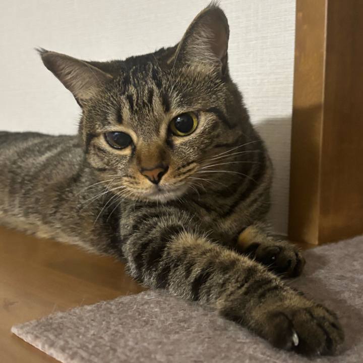 48579a8d 2892 45d9 b04e 941672a47b0a 1756084737935