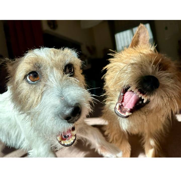 4857d0b4 7744 445d adfc 678088628482 1736857995525