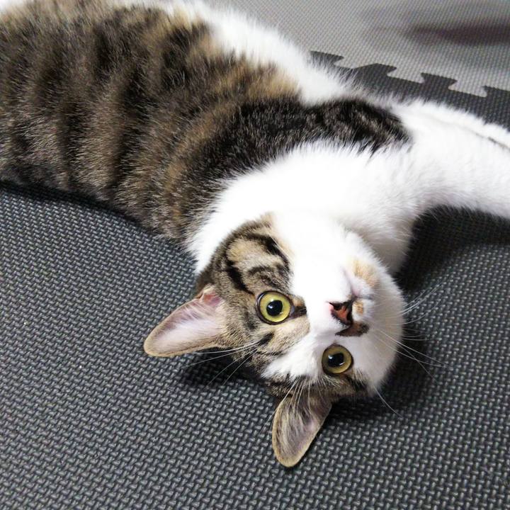 4857fb34 35c3 452c ae65 5402954be34c 1623464470515