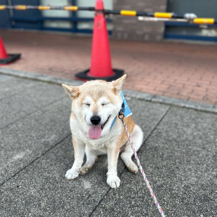 48582878 4e6e 422a b7f1 09e5f4e6c72f 1750380487518