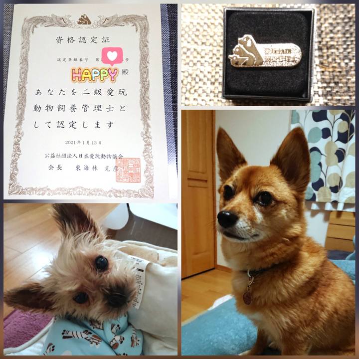 4858953c df65 48ef 8de9 a11a841f2dd2 1611323004525