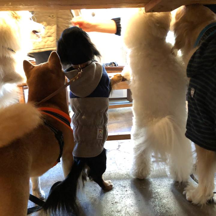 4858af2c 1852 4c24 82ad 7927875c37e8 1547632797940