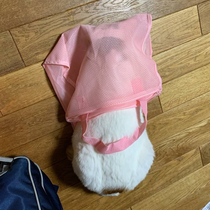 4858af97 6f5c 4481 9390 b8e60efbd88d 1634387836202