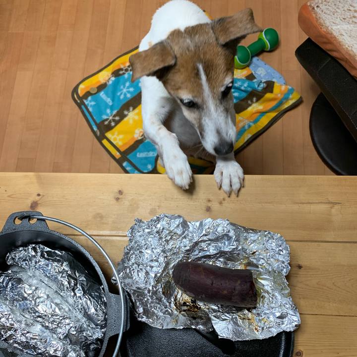 4858ef42 efc0 41f9 bda7 a1e9d89eccb1 1576582917373