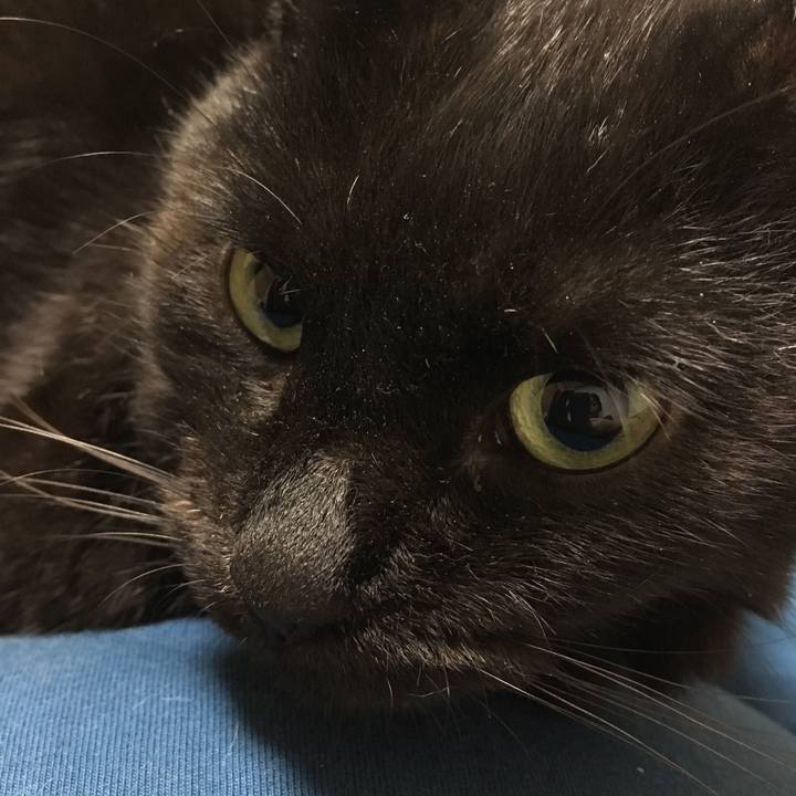 485913cd c2a4 4c98 b42a 5b82e530784f 1540986139406