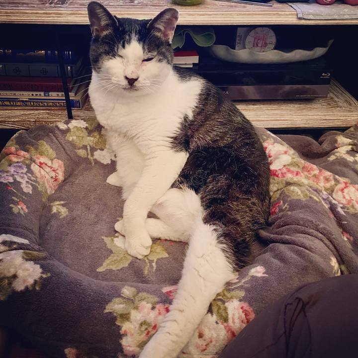 48593491 aa8d 41ff 9c1e 77853c94a7d1 1586002878277