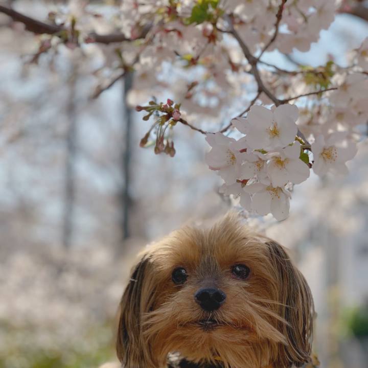 48597053 bcd0 4c51 949a 06987f0772ef 1585206092718