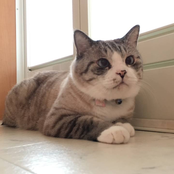 4859ba57 c8f1 4a14 9953 fdd21de29cfb 1527471826738