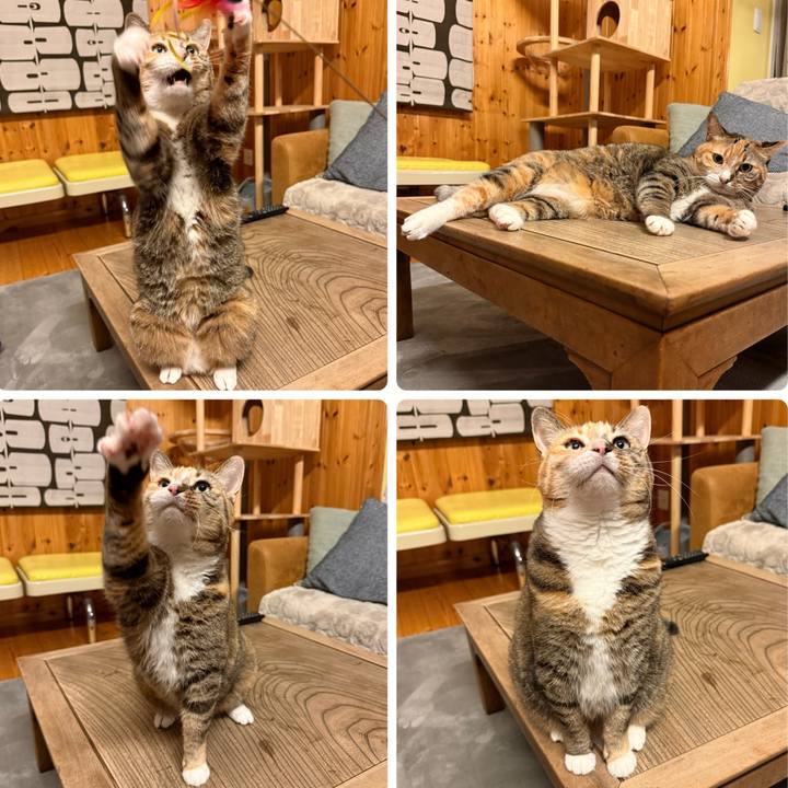 4859c73b 6e90 4346 bf7a f731d239b1a1 1764933644488