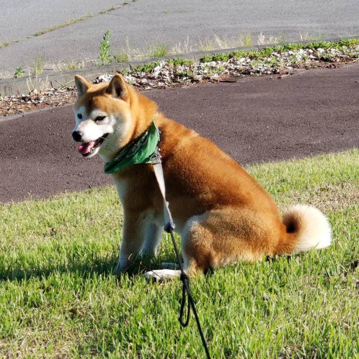 4859e369 a65d 4bda aef3 ee5042a0a5d5 1558596921630