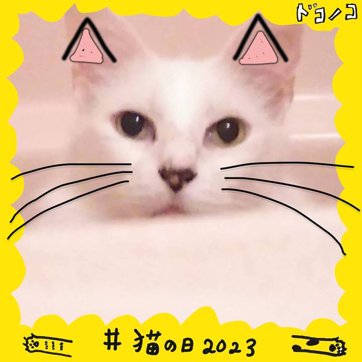 4859ebd6 5761 4e84 933a d5092e68f09f 1677050492879