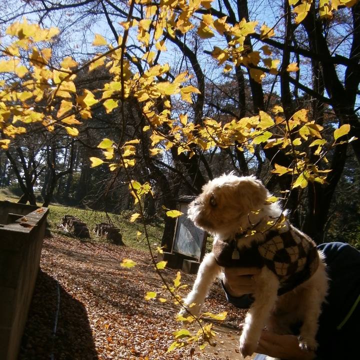 485a2705 07ec 4f38 bb08 80cb4554467e 1539775553017