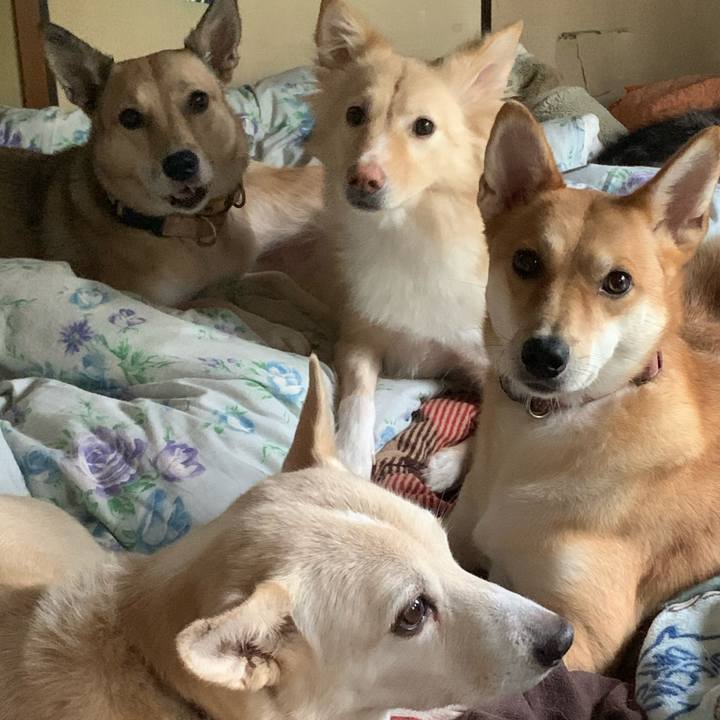 485a4902 7315 423c a60d 3de945ae0dcf 1571545352776