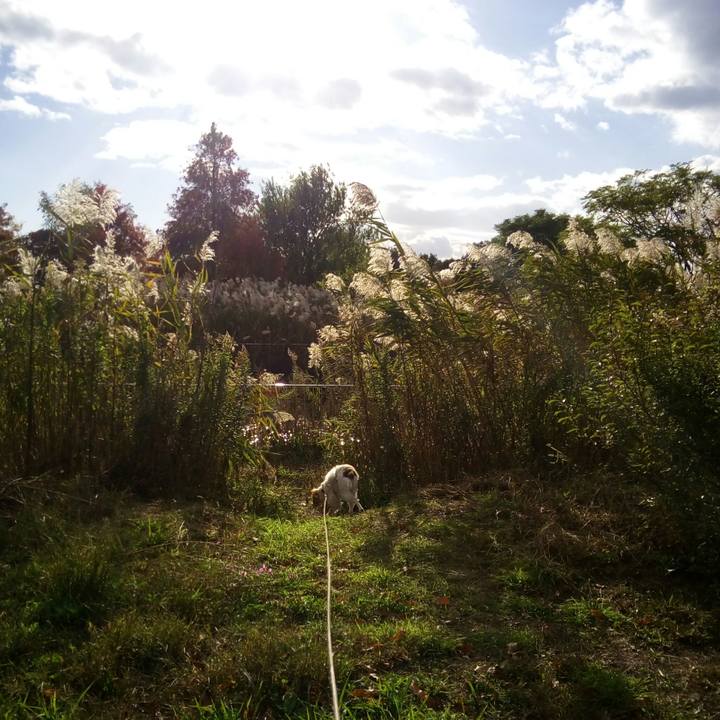 485a4bb5 7621 4d69 ab86 7853ffbed8fd 1511080435980