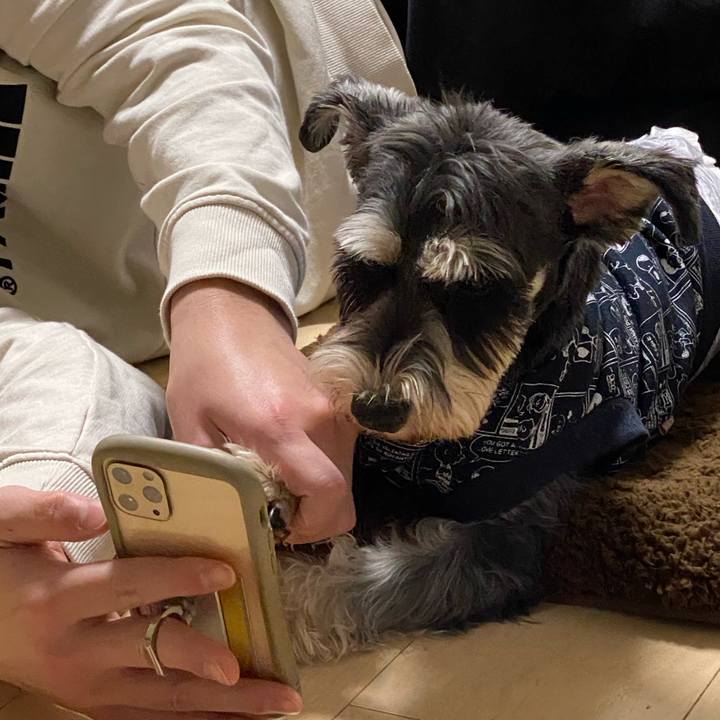 485a55a3 9079 4b65 ae58 f7efe66247ff 1609771810745