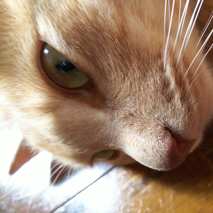 485aab41 78a7 4605 8dec 0b8b53a221b1 1596353545892