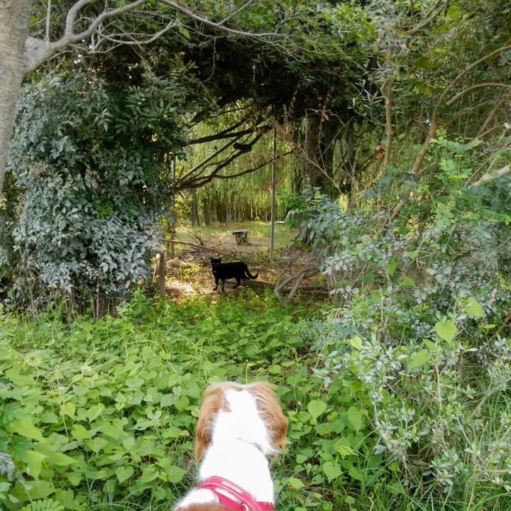 485ab4bb 7217 4c22 ae7e cd37fc8d19ae 1534639469214