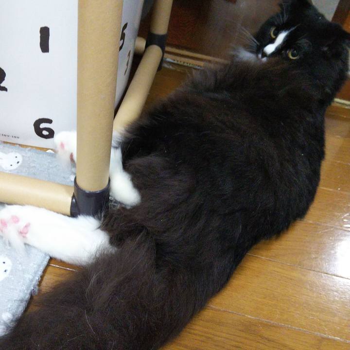 485ae77b 7be7 454a a456 0d15a201499e 1652448768375