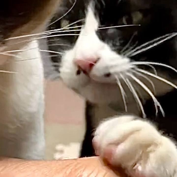 485b6d04 1b1b 44b4 97d0 158c9174cc46 1732526862431