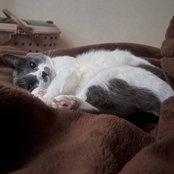 485b98e3 4696 4743 825a 55d9a57306bb 1639272052887