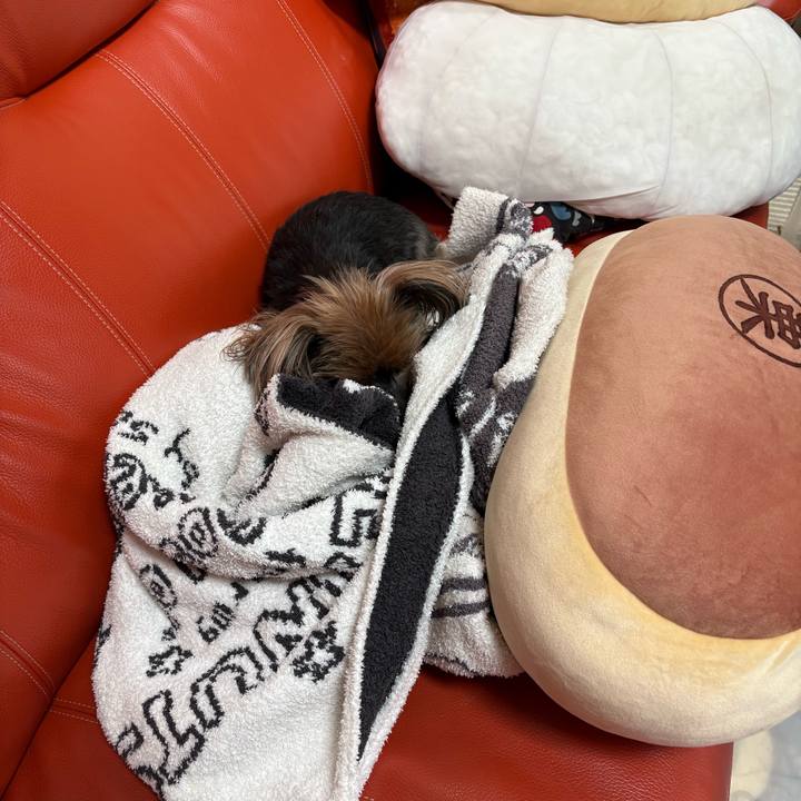 485beec9 d5bb 4abf 8f20 18ad319547e6 1772772111070