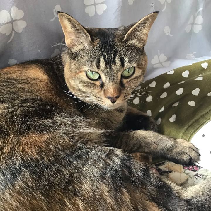 485bf16a b83c 4bc0 b61b 6779f9c33972 1648167310533