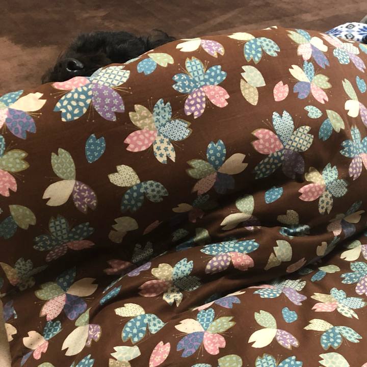 485bfa48 80ac 4649 9e64 daf4a30c350c 1583825874952