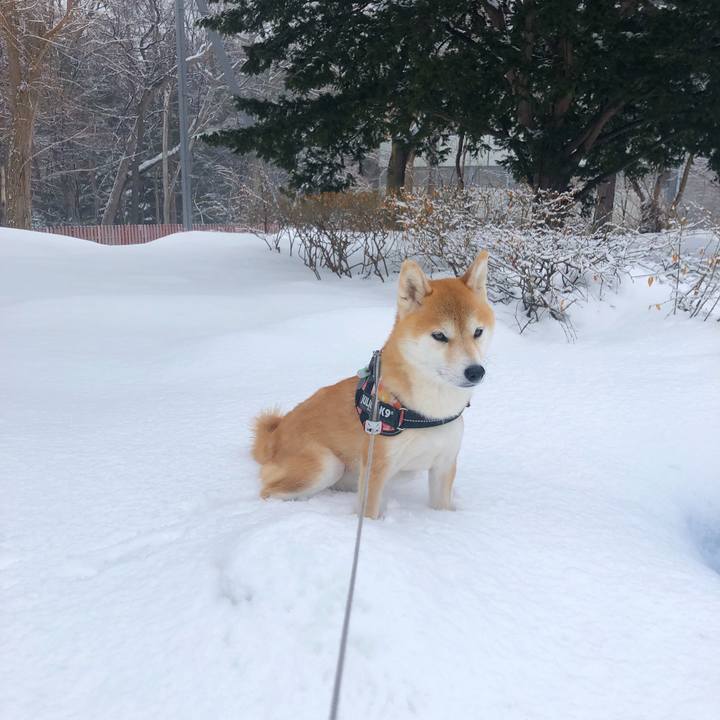 485c0349 f18e 430c a8a0 0fc2ccd99a28 1550628450934