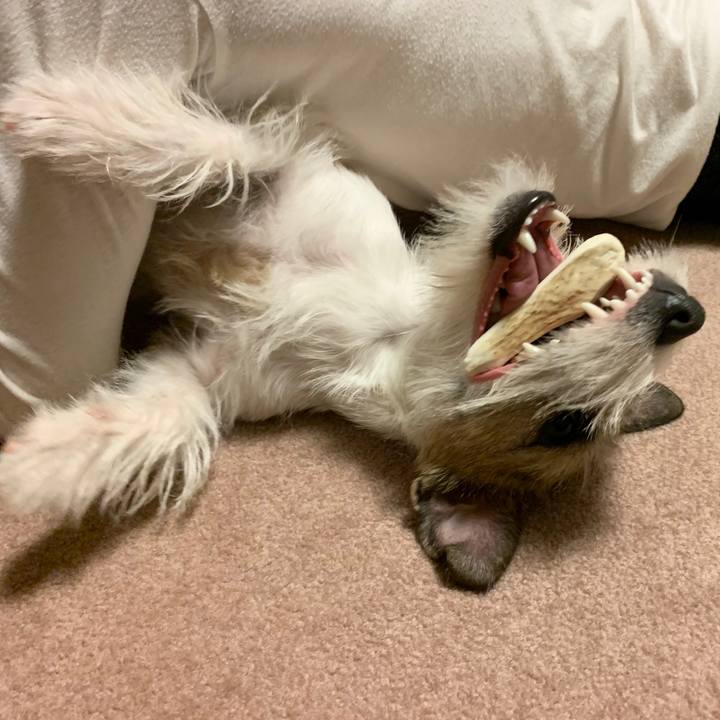 485c0707 1f32 4d0f 8724 cb9318b6c7f5 1578921348951