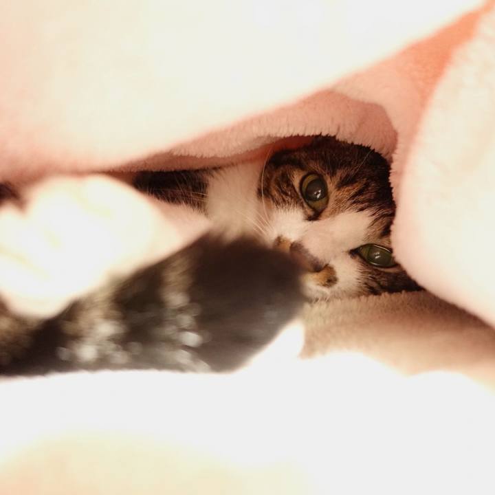 485c22ab 8a6c 442c ad09 bd28c4ff5206 1768648695701