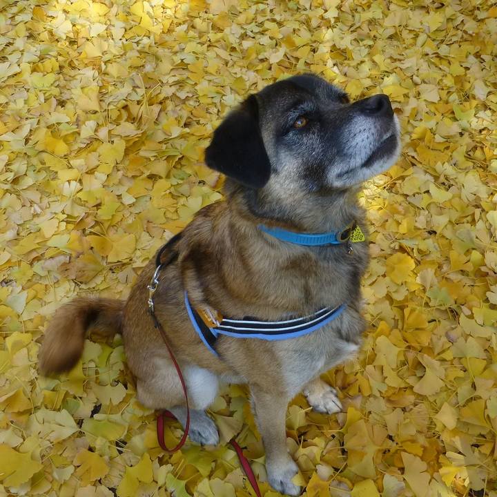 485c2aae 44e7 4ee2 b774 c935e0777653 1579306198383