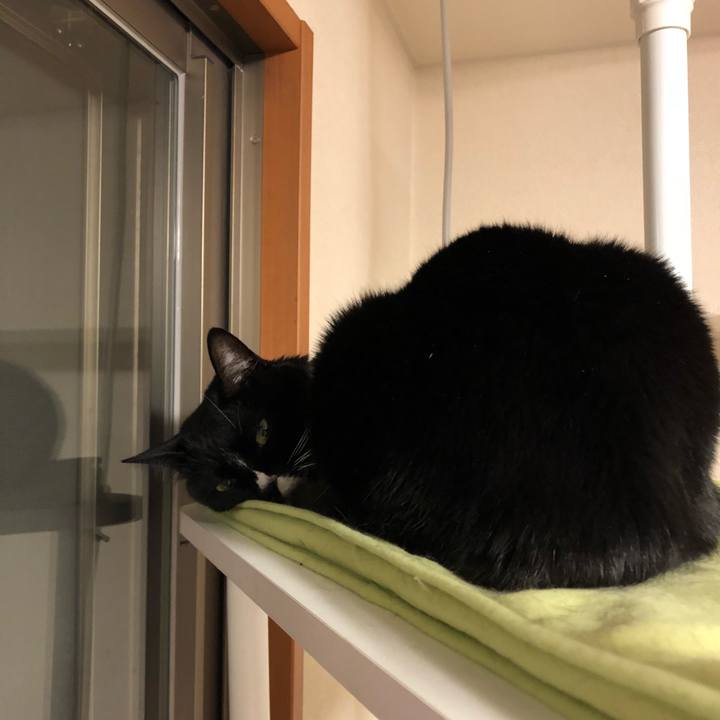 485c4637 80e7 448f 828e 63b2a4eed6af 1519335767902