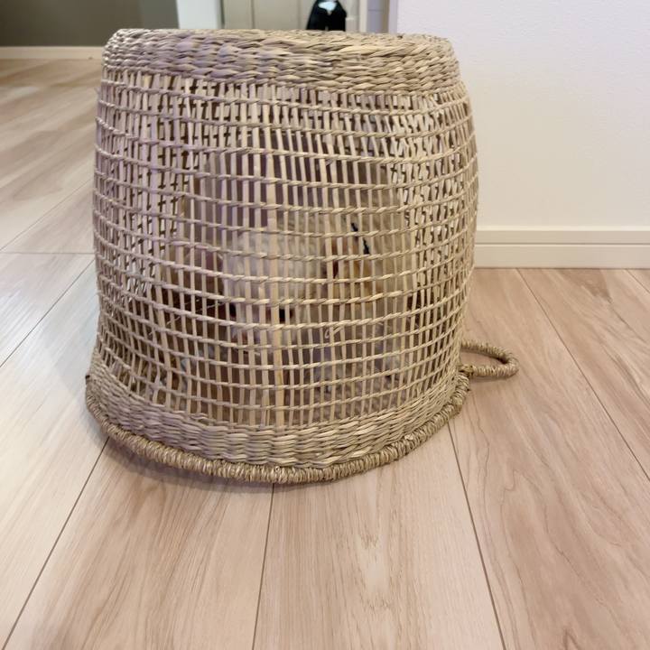 485c467e 7bb7 4a39 9ce6 1828c5f76a59 1723117499526