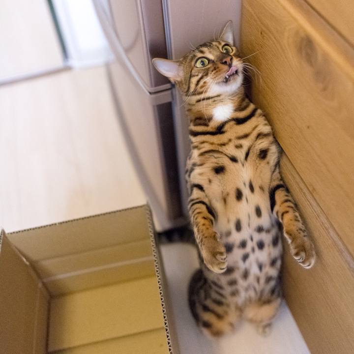 485c4d96 b007 4541 b80c a4e609c76673 1520520698131