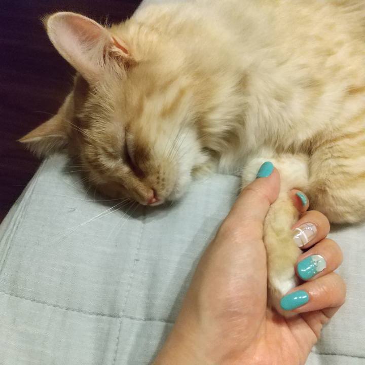 485c5c62 e355 47d2 93c6 80e8b72adce4 1631972598335